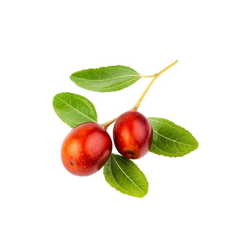 Jojoba Oil