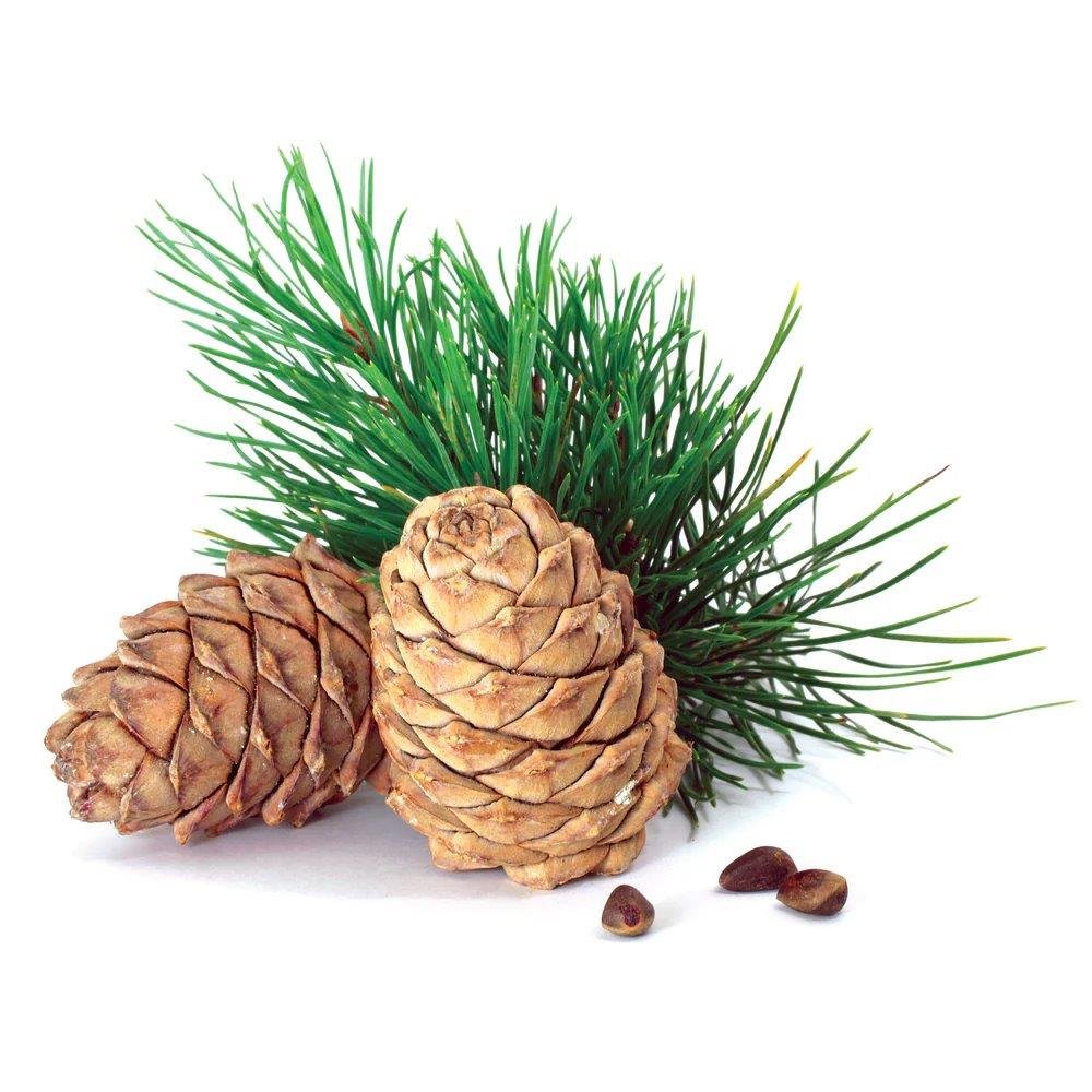 Cedarwood Hydrosol