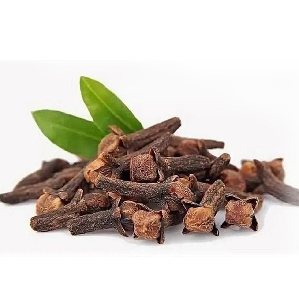 Clove Fragrance Oil