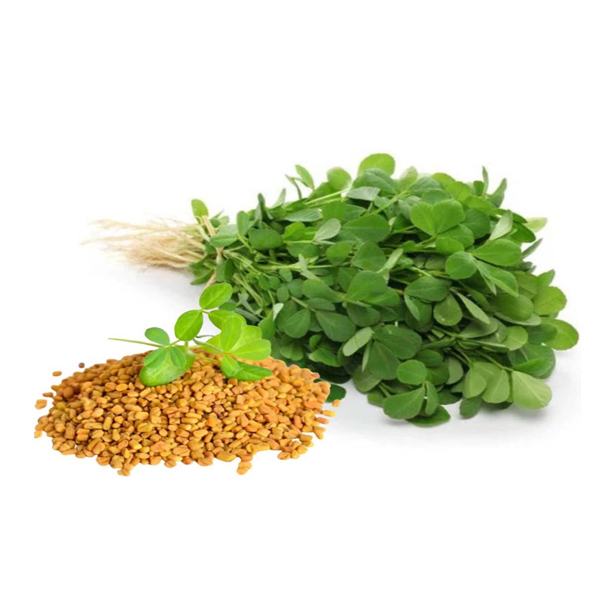 Fenugreek Liquid Extract