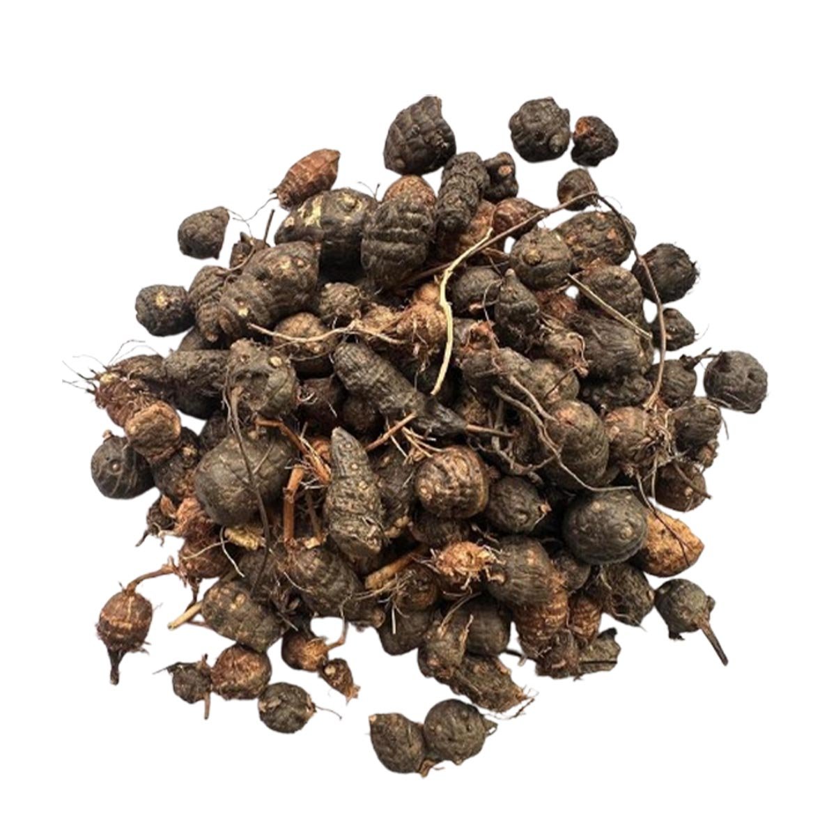 Nagarmotha Liquid Extract